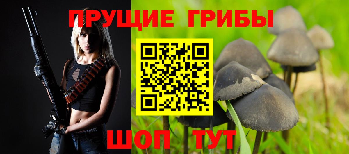 Балашов  Псилоцибиновые грибы GOLDEN TEACHER  купить   Вход с VPN 
